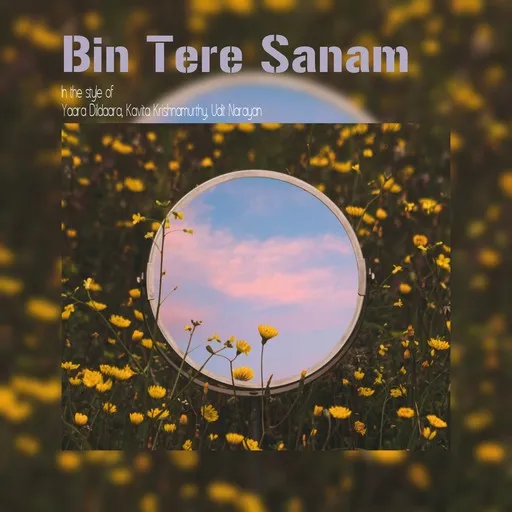 Karaoke Bin Tere Sanam by Kavita Krishnamurthy, Udit Narayan, Yaara Dildaara — sing along with lyrics on Singa