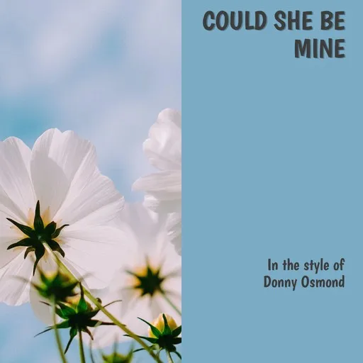 Karaoke Could She Be Mine by Donny Osmond — sing along with lyrics on Singa