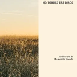 Cover art for No Toques Ese Disco - Bienvenido Granda karaoke version