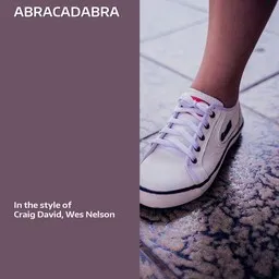Titelbild für Abracadabra - Craig David,Wes Nelson Karaoke-Version