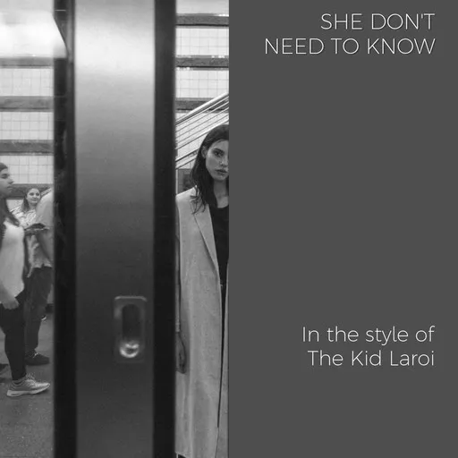 Karaoke She Don't Need to Know by The Kid Laroi — sing along with lyrics on Singa