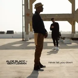 Titelbild für Never Let You Down - Aloe Blacc,Gentleman Karaoke-Version