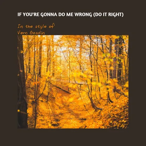 Karaoke If You're Gonna Do Me Wrong (Do It Right) av Vern Gosdin — sjung med på texten på Singa