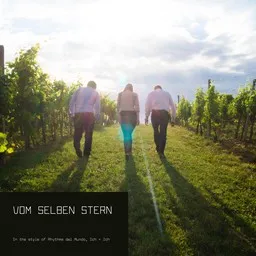 Cover art for Vom selben Stern - Ich + Ich,Rhythms del Mundo karaoke version
