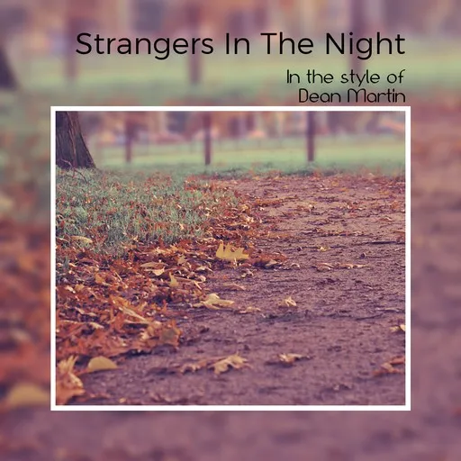 Strangers In The Night - Karaoke