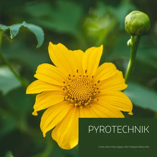 Karaoke Pyrotechnik by Balkonultra, Ikke Hüftgold, Marc Eggers — sing along with lyrics on Singa