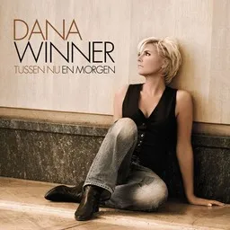 Cover art for Als je alles weet - André Hazes,Dana Winner karaoke version