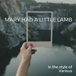Omslagsbild för Mary Had a Little Lamb - Various karaokeversion