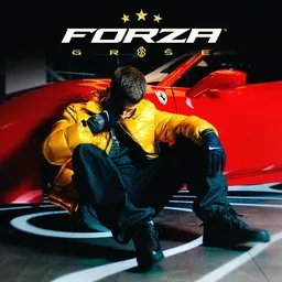 Cover art for Forza - Grše karaoke version