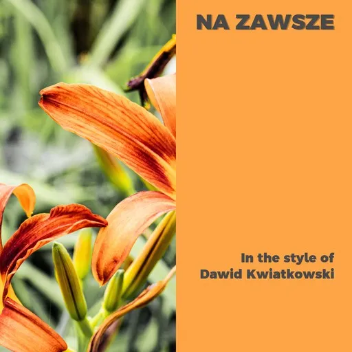 Karaoke Na Zawsze by Dawid Kwiatkowski — sing along with lyrics on Singa