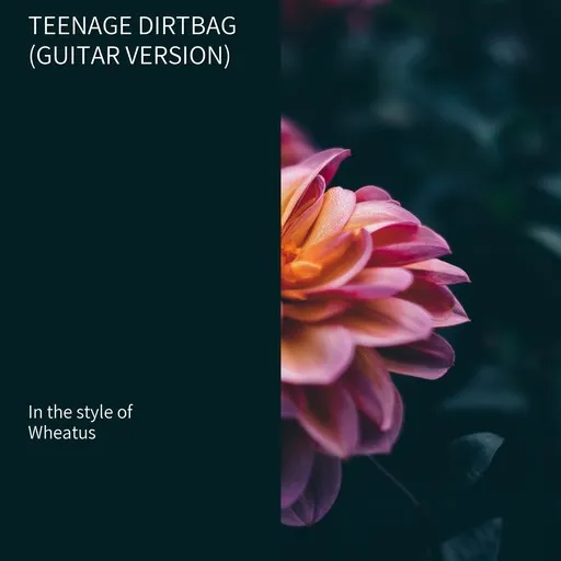 Karaoke Teenage Dirtbag (Guitar Version) by Wheatus — sing along with lyrics on Singa