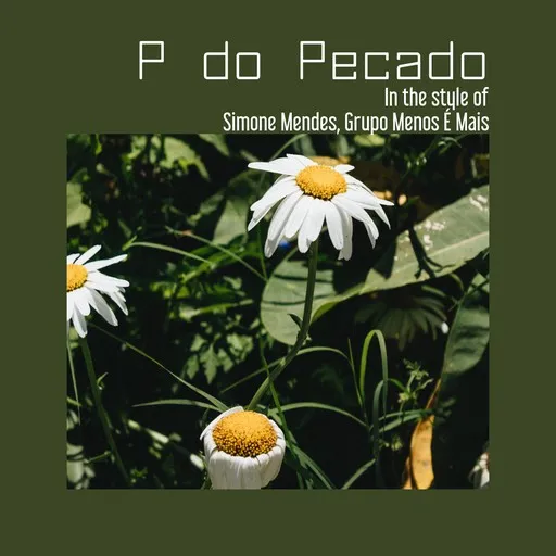 P do Pecado - Karaoke