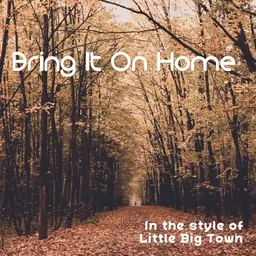 Cover art for Bring It On Home - Little Big Town karaoke version