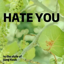 Titelbild für Hate You - Jung Kook Karaoke-Version
