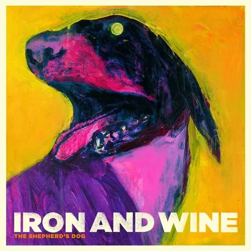 Karaoke Boy With a Coin by Iron & Wine — sing along with lyrics on Singa