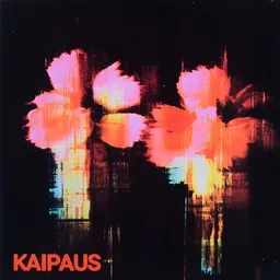 Cover art for Kaipaus - Laila Kinnunen karaoke version