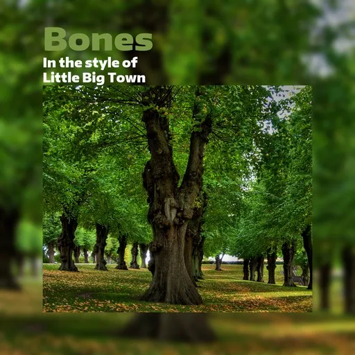 Karaoke Bones von Little Big Town — mit Songtext mitsingen auf Singa