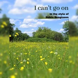 Titelbild für I can't go on - Robin Bengtsson Karaoke-Version