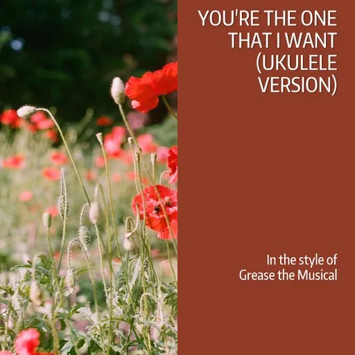 Karaoke You're the One That I Want (Ukulele Version) von Grease the Musical — mit Songtext mitsingen auf Singa