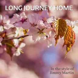 Omslagsbild för Long Journey Home - Jimmy Martin karaokeversion