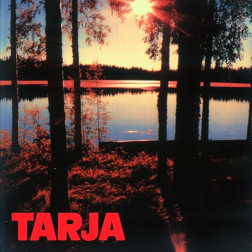 Juhannusyö - Karaoke