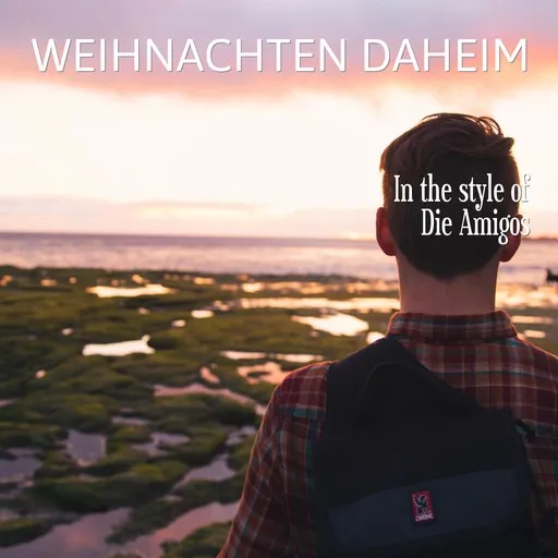 Karaoke Weihnachten daheim by Die Amigos — sing along with lyrics on Singa
