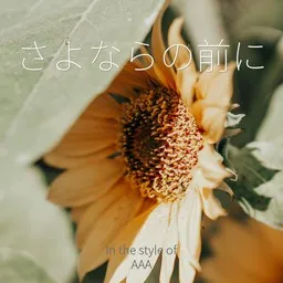 AAA - Karaoke