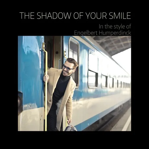 The Shadow Of Your Smile - Karaoke