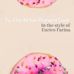 Cover art for Tu Che M'hai Preso il Cuor - Enrico Farina karaoke version