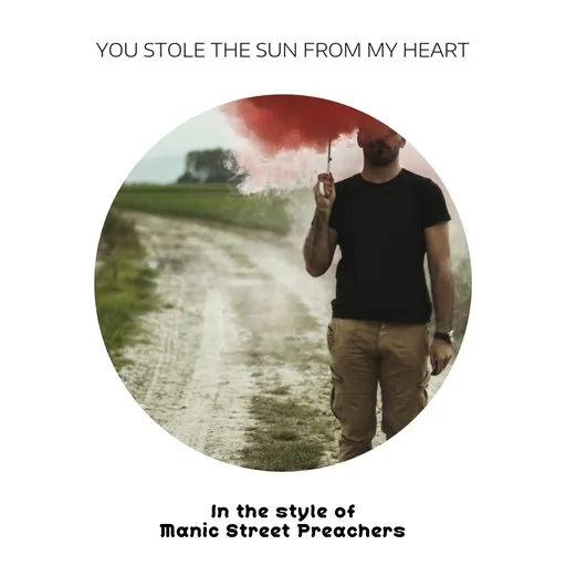 You Stole The Sun From My Heart - Karaoke