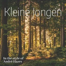 Cover art for Kleine Jongen - André Hazes karaoke version