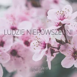 Titelbild für Ludzie Niepowszedni - Perfect Karaoke-Version