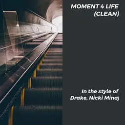 Titelbild für Moment 4 Life (clean) - Drake,Nicki Minaj Karaoke-Version