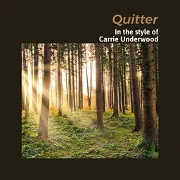 Omslagsbild för Quitter - Carrie Underwood karaokeversion