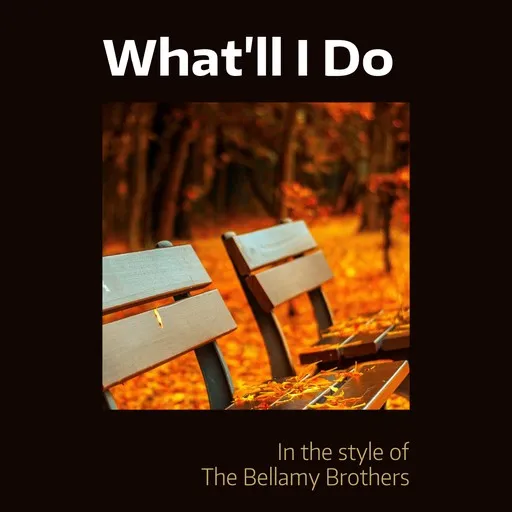 Karaoke What'll I Do by The Bellamy Brothers — sing along with lyrics on Singa