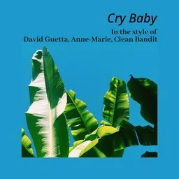 Cover art for Cry Baby - Anne-Marie,Clean Bandit,David Guetta karaoke version