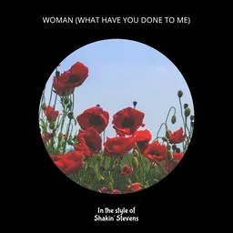 Cover art for Woman (What Have You Done To Me) - Shakin' Stevens karaoke version