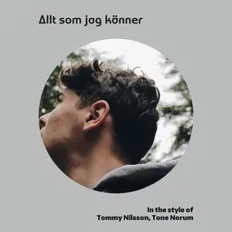 Omslagsbild för Allt som jag känner - Tommy Nilsson,Tone Norum karaokeversion