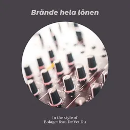 Cover art for Brände hela lönen - Bolaget,De Vet Du karaoke version