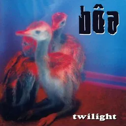 Cover art for Duvet - bôa karaoke version