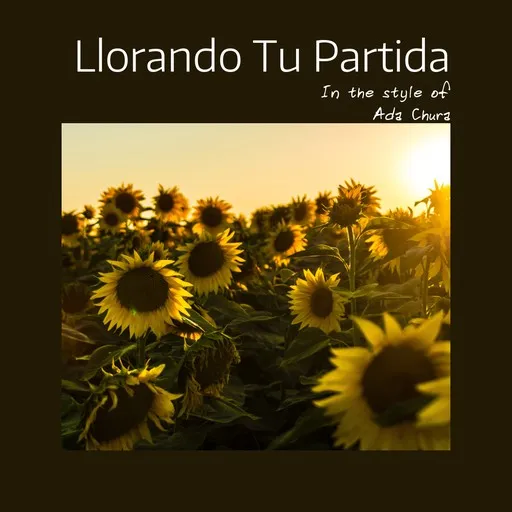 Karaoke Llorando Tu Partida by Ada Chura — sing along with lyrics on Singa