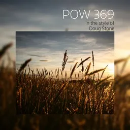 Karaokekappaleen Pow 369 - Doug Stone kansikuva