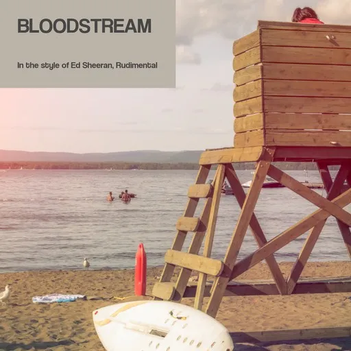 Karaoke Bloodstream von Ed Sheeran, Rudimental — mit Songtext mitsingen auf Singa