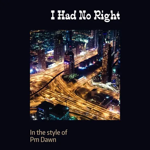 I Had No Right - Karaoke