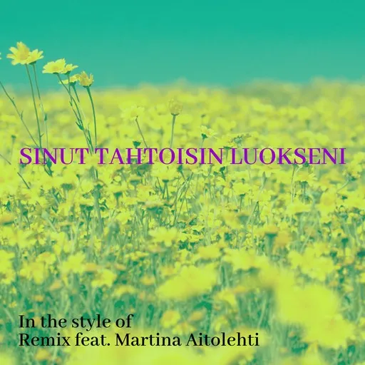 Sinut tahtoisin luokseni - Karaoke