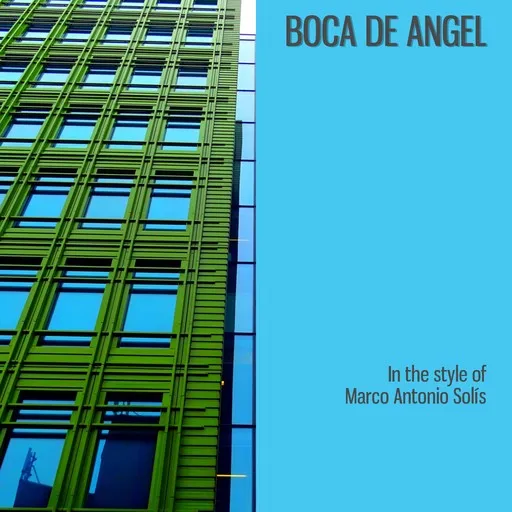 Karaoke Boca De Angel av Marco Antonio Solís — sjung med på texten på Singa