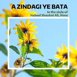 Cover art for A Zindagi ye Bata - Aima,Nabeel Shaukat Ali karaoke version