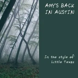Cover art for Amy's Back In Austin - Little Texas karaoke version