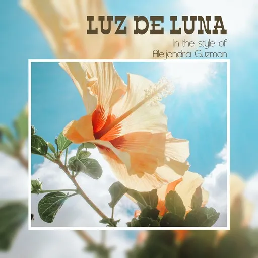Luz De Luna - Karaoke