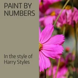 Karaokekappaleen Paint By Numbers - Harry Styles kansikuva